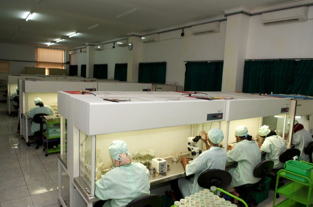 Laboratorium Uji Kimia Puslitkoka